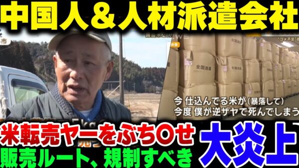 【備蓄米放出】米を転売している馬鹿、世界の害悪だった。中国人＆人材派遣会社の害悪コンボ【ゆっくり解説】