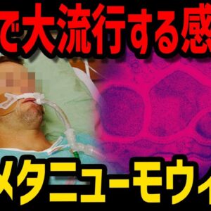 【ゆっくり解説】中国で見つかった未知の感染症？感染拡大しているヒトメタニューモウィルスとは？
