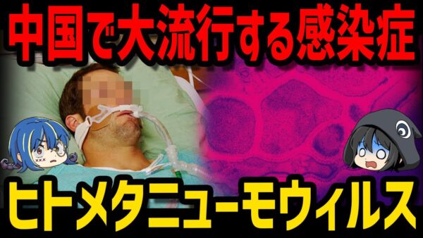 【ゆっくり解説】中国で見つかった未知の感染症？感染拡大しているヒトメタニューモウィルスとは？