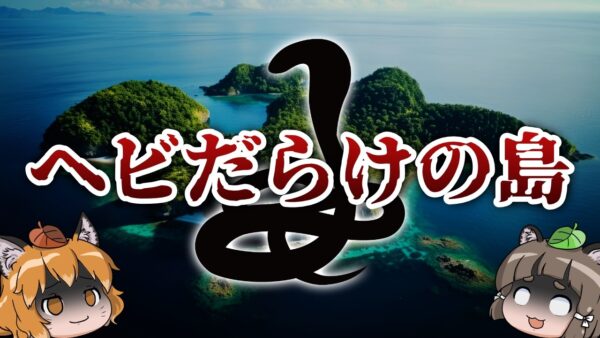 【禁断の島】絶対近づくな！世界に実在する毒ヘビだらけの島がヤバすぎる…