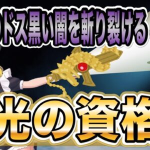 【ゆっくり解説】日本のどす黒い闇に切り裂ける光の資格【資格】