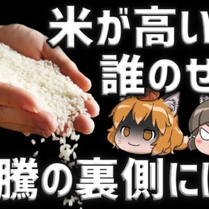 【全て話します】お米が高いのは一体誰のせい？米高騰の裏側に隠れていたのは…