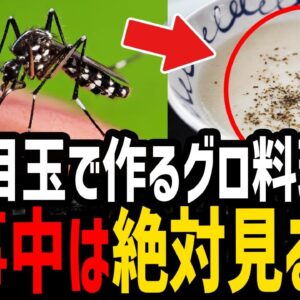 【ゆっくり解説】食事中には絶対見るな！吐き気を催す世界の奇食