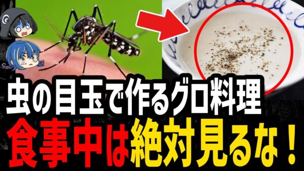 【ゆっくり解説】食事中には絶対見るな！吐き気を催す世界の奇食