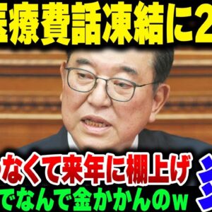 【炎上】石破内閣、高額医療制度見直し凍結に200億浪費した挙句、来年再来年でまた同じようなことをやろうとしている模様【ゆっくり会査閲】