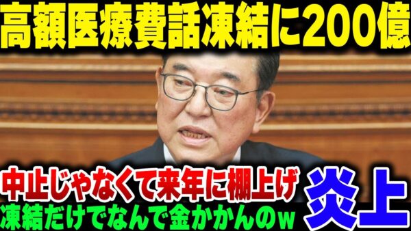 【炎上】石破内閣、高額医療制度見直し凍結に200億浪費した挙句、来年再来年でまた同じようなことをやろうとしている模様【ゆっくり会査閲】