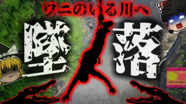 【2011年】『バンジー切れて肺が血塗れ』川でバンジージャンプに挑戦した女性、ロープが切れ110ｍ下の水面に激突…臓器が損傷し吐血するも奇跡的に生還【ゆっくり解説】