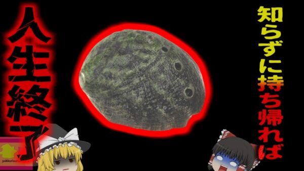 【2022年】『知らなかった』では済まされない 知らずに獲って懲役3年･3000万円の罰金も… 日本で深刻化する外国人などの密漁問題【ゆっくり解説】