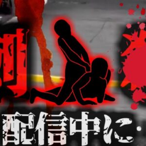 【2025年】目撃者『怖いですね。犯人まだ近くにいるかも』犯人「そうですね」配信中に突然襲われ＊された女性 視聴者から250万の借金を踏み倒し復讐される【ゆっくり解説】きめぇ丸