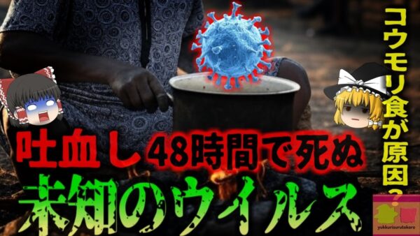 【2025年】『血を吐いて2日以内に死ぬ病』小さな村から始まった恐ろしい感染症 原因は『コウモリ』？何故コウモリから新しいウイルスが発見されるのか【ゆっくり解説】