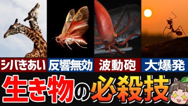 【一撃必殺】進化で得た最強武器！ヤバすぎる生き物の必殺技8選