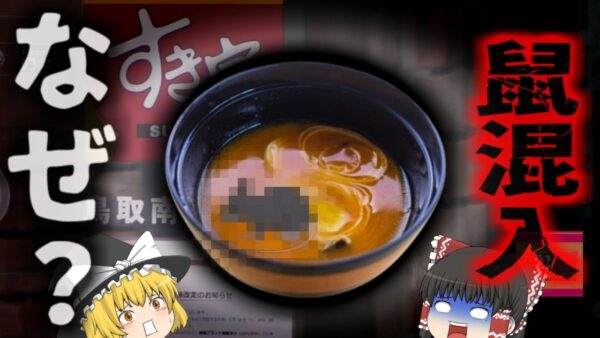 『すき家の味噌汁にネズミが丸ごと』人気牛丼チェーン「すき家」の朝メニューにネズミ混入。Googleマップレビューに投稿された写真に物議 大規模な問題に発展し全店舗一時閉店へ【ゆっくり解説】