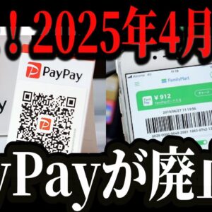 日本政府が推進するキャッシュレス決済の闇。手数料が高すぎてコンビニやスーパーが発狂。【PayPay】【ゆっくり解説】