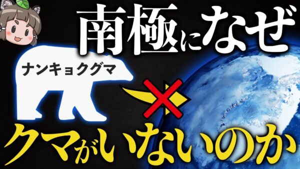 【疑問】なぜ南極に「ナンキョクグマ」は存在しないのか？