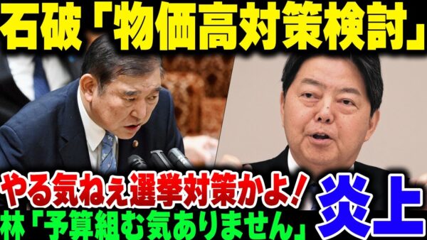 石破茂『物価高対策やります』林『予算は組みません』選挙対策なのもやる気ないのもバレてますよ【ゆっくり解説】