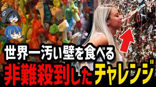 【ゆっくり解説】キモすぎて閲覧注意！頭がおかしくて非難殺到したチャレンジ５選