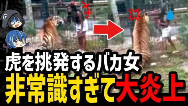 【ゆっくり解説】こいつらただのバカです。非常識すぎて炎上した奴ら５選