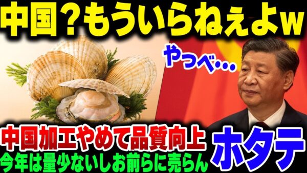 中国が必死に禁輸した日本のホタテ、むしろ品質があがって売り上げも上がっている模様