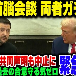 【両者ブチギレ】トランプとゼレンスキーがブチギレまくったアメリカ・ウクライナ首脳会談、昼食会に共同声明、合意文書締結も中止の非常事態に【ゆっくり解説】