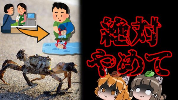 【やめて】買ってきた生きたカニを川に逃がしました←はい？？？