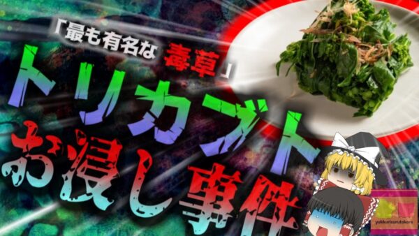 【2025年】『命を奪う猛毒お浸し』食用野草と間違えて食べていたのは「最も有名な猛毒草」トリカブト誤食事故【ゆっくり解説】