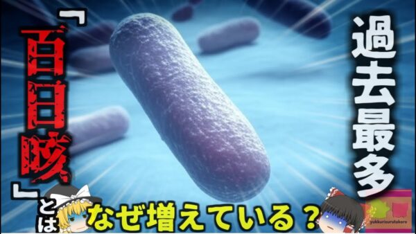 【2025年】『100日続く苦しい咳』全国的に増加中の細菌感染症『百日咳』患者数が過去最多に…最悪の場合脳症に発展する恐ろしい感染症…予防と対策法は？【ゆっくり解説】