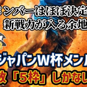 【ゆっくり解説】日本代表ガラスのDFラインを補強せよ！今後W杯メンバーとして台頭してくる新戦力は？【サッカー】