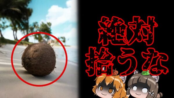 【ヤバい】落ちてるココナッツを絶対に拾わないでください…