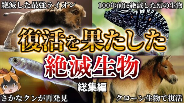 【総集編】実は生きていた…奇跡の復活を果たした絶滅生物まとめ