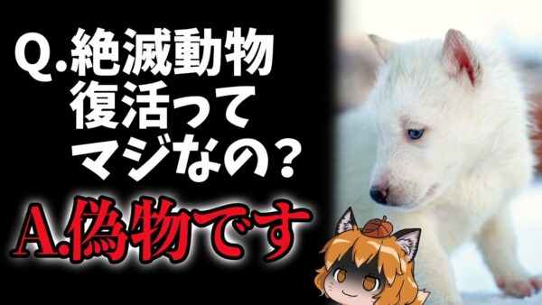 【偽物】絶滅したダイアウルフ復活ってマジ！？←パチモンです