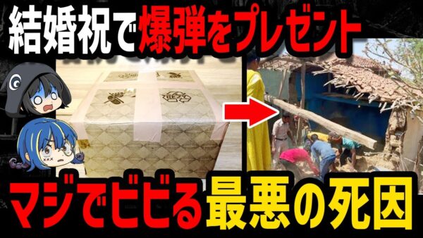 【ゆっくり解説】最悪な復讐劇…本当にあった残念すぎる死因４選