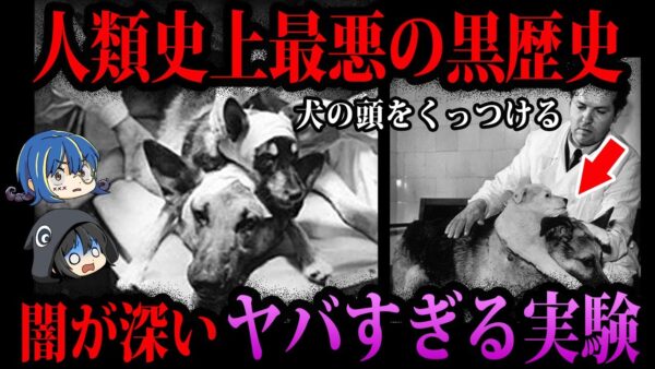 【ゆっくり解説】英雄？あたおか？人類が行った最悪な実験５選