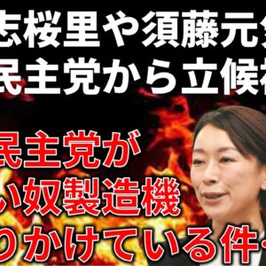 【政治まとめ】国民民主党、候補者選定どうなってんねん問題…