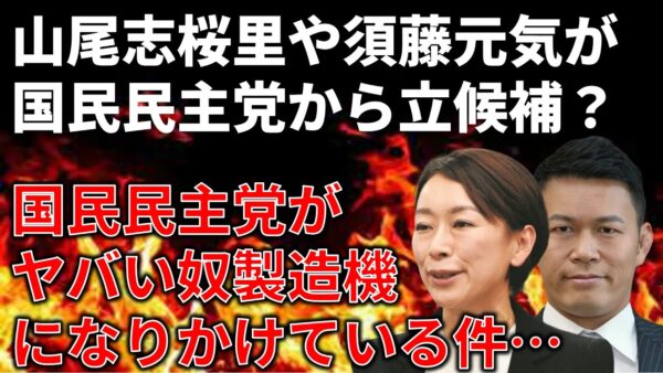 【政治まとめ】国民民主党、候補者選定どうなってんねん問題…