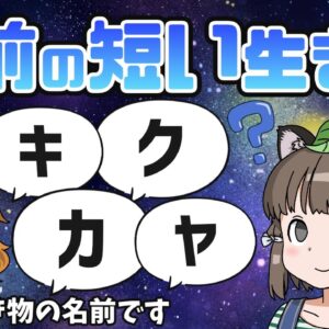 【1文字】超どシンプル！名前が短すぎる生き物11選