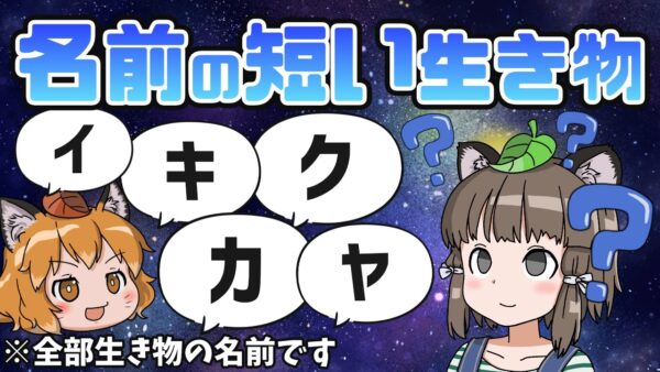 【1文字】超どシンプル！名前が短すぎる生き物11選