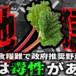【1918年】『＊人者の野菜 レシピ本に紹介された野菜食べ*亡』政府主導で行われた代替野菜のレシピ 危険な成分を豊富に含んでおり国民が急性中毒に 実は危険な植物の成分【ゆっくり解説】