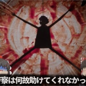 【1987年】『都市伝説じゃない』ホラー映画『キャンディマン』にも盛り込まれた『ルーシー事件』 公営住宅の犯罪無視と警察の怠慢？ 【ゆっくり解説】きめぇ丸