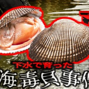 【1988年】史上最大の中毒事件『下水赤貝』で30万人が肝炎に感染 47名が亡くなる大惨事に…【ゆっくり解説】