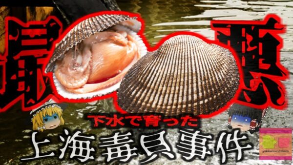 【1988年】史上最大の中毒事件『下水赤貝』で30万人が肝炎に感染 47名が亡くなる大惨事に…【ゆっくり解説】