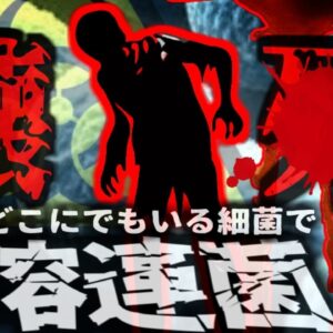 【1989年】『皮膚にも存在する血を溶かす細菌』養護施設でアウトブレイク発生。人食いバクテリアが広まり体に壊疽…10名が亡くなる【ゆっくり解説】