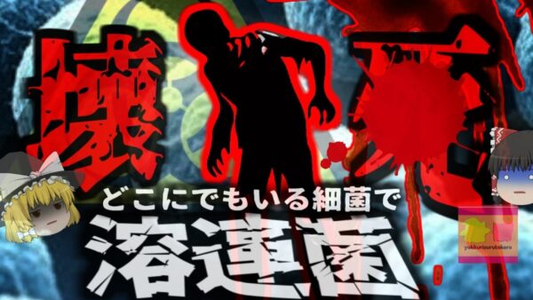 【1989年】『皮膚にも存在する血を溶かす細菌』養護施設でアウトブレイク発生。人食いバクテリアが広まり体に壊疽…10名が亡くなる【ゆっくり解説】