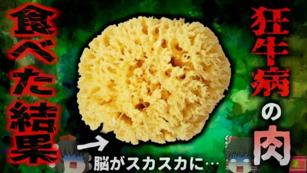 【1995年】『脳がスポンジになる禁断の食材』　加熱してもほぼ不活性化されない恐ろしい感染症 「変異型クロイツフェルト・ヤコブ病」【ゆっくり解説】きめぇ丸解説
