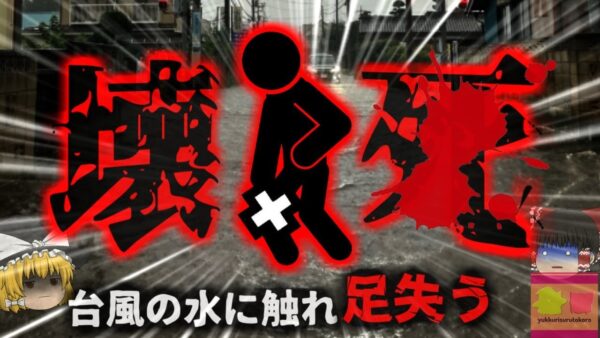 【2011年】『庭がめちゃくちゃだ...片付けないと』→土壌の細菌が傷口に侵入し足が壊＊ 台風・竜巻の意外な恐ろしさ【ゆっくり解説】