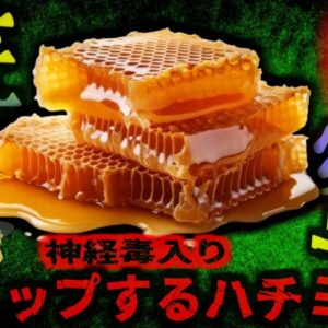 【2014年】『幻覚作用のあるハチミツで重症に』東南アジアで購入したハチミツを食べ視覚異常呼吸困難に…実は危険な特定はちみつ『マッドハニー』とは？【ゆっくり解説】