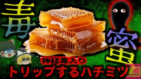 【2014年】『幻覚作用のあるハチミツで重症に』東南アジアで購入したハチミツを食べ視覚異常呼吸困難に…実は危険な特定はちみつ『マッドハニー』とは？【ゆっくり解説】