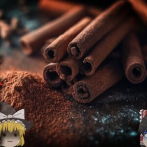 【2015年】『いいね欲しさで脳が壊死』中学生が危険な「シナモンチャレンジ」で会話能力と歩行能力が消失 脳症や肺炎などの恐ろしいリスクも【ゆっくり解説】