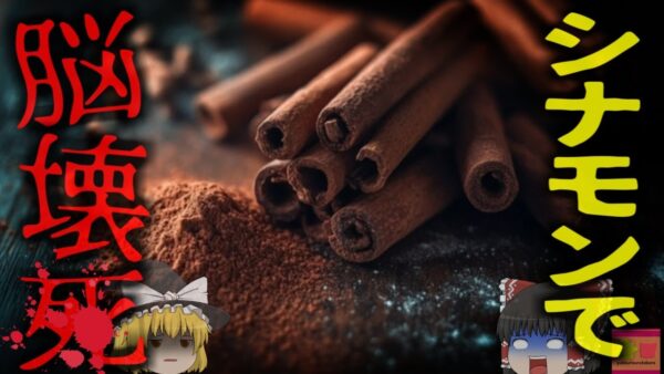 【2015年】『いいね欲しさで脳が壊死』中学生が危険な「シナモンチャレンジ」で会話能力と歩行能力が消失 脳症や肺炎などの恐ろしいリスクも【ゆっくり解説】