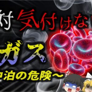 【2022年】『車中泊で毒ガスに気付かず●亡』ソロキャンプを楽しんでいた男性、車中泊で遺体となって発見される…絶対にしてはいけなかったNG行動とは【ゆっくり解説】