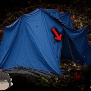 【2023年】『YouTubeのアウトドア生活真似してみよう』→電力のない山の中で遺体となって発見される 【ゆっくり解説】きめぇ丸解説